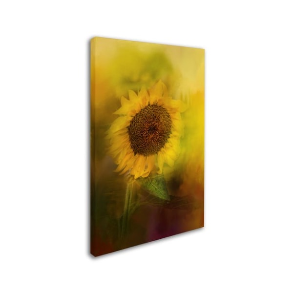 Jai Johnson 'The Happiest Flower' Canvas Art,16x24